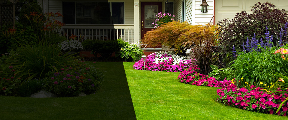 Gastonia Landscapers