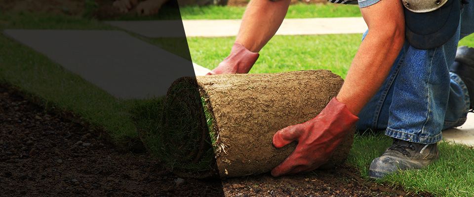 Gastonia Landscapers